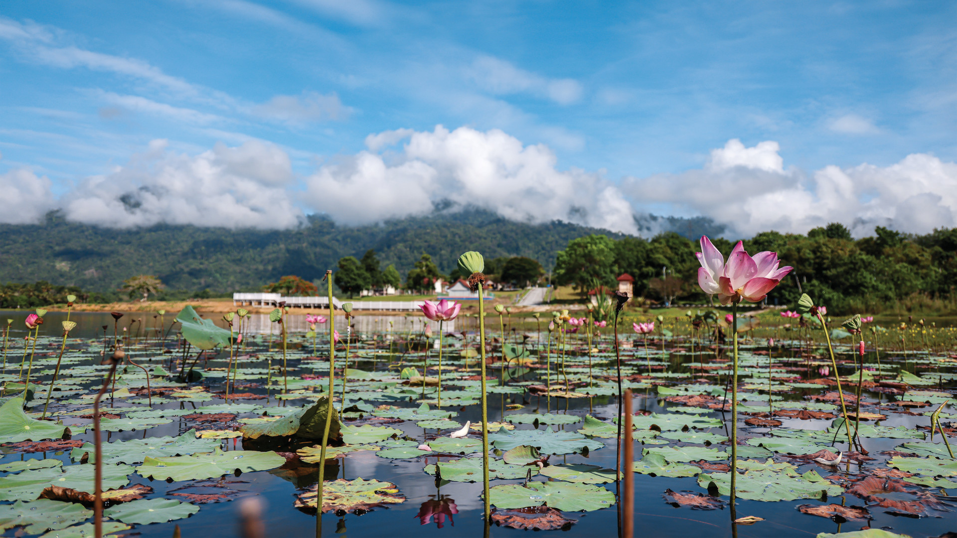 Raban Lake, Lenggong, Perak—an attraction as part of the Northern Peninsular Malaysia Archaeotourism Network